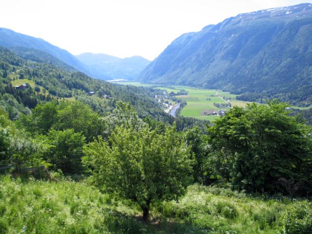  Flatdal 