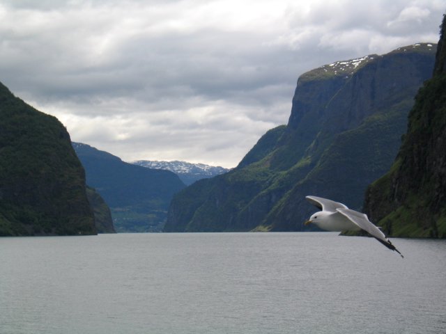  Aurlandsfjord 