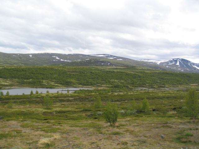  Trollstigen 
