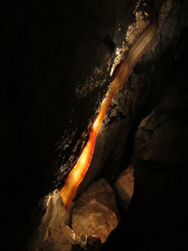  Cave Bacon 