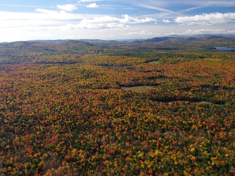  White Mountains 
